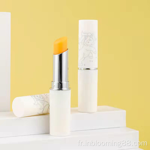 Crème à lèvres à lèvres de haute qualité pour le maquillage